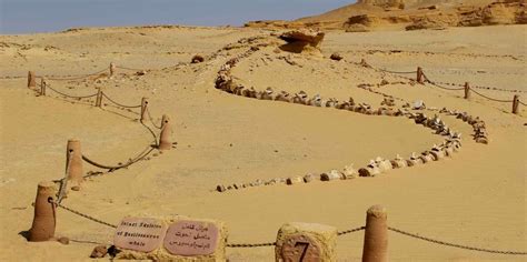 Il Concerto Note di Deserto di Wadi El Nil: Un Tuffo nell'Anima Musicale Egiziana